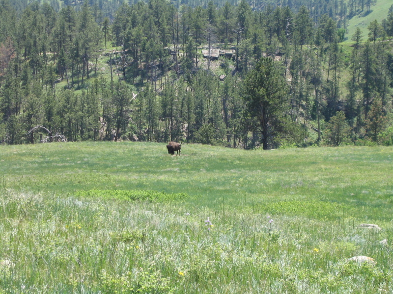 CusterStatePark_3