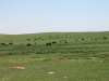 CusterStatePark_1