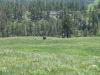 CusterStatePark_4