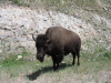 CusterStatePark_7