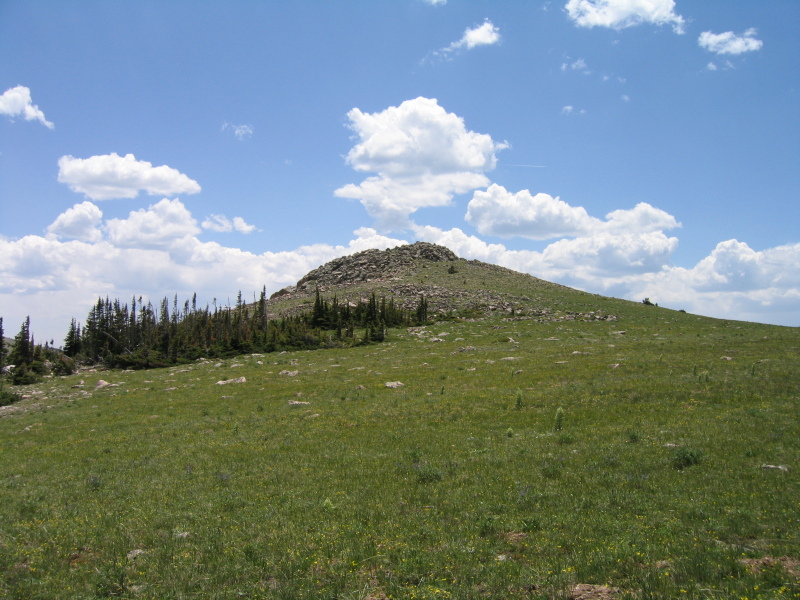 killpecker_trail_2005_8